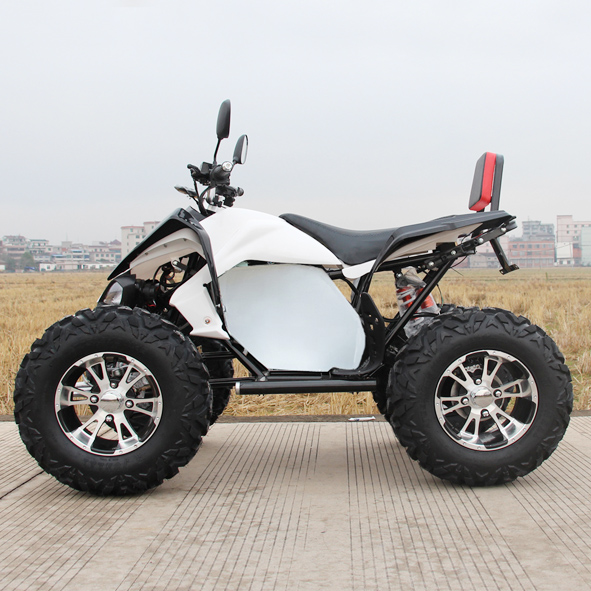 Small electric ATV Made in China.jpg