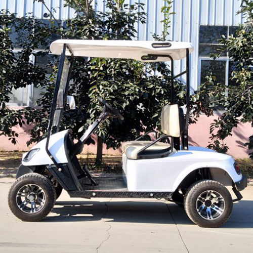 购买两座迷你电动高尔夫球场车Buy two mini electric golf course cars.jpg