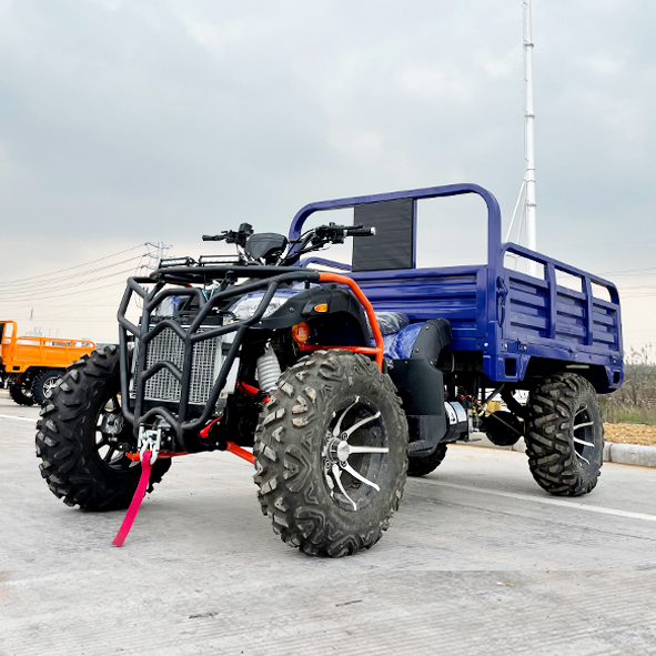China 4WD all terrain UtilityVehicle suppliers.jpg