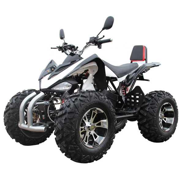 Small electric ATV suppliers.jpg